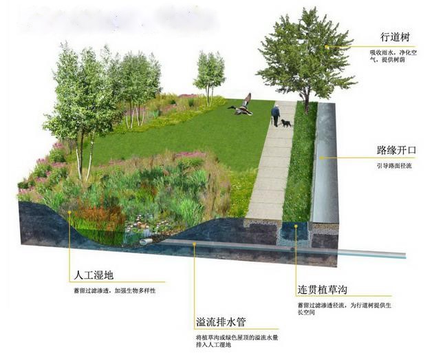 1467440636916502.jpg 1467440636916502.jpg